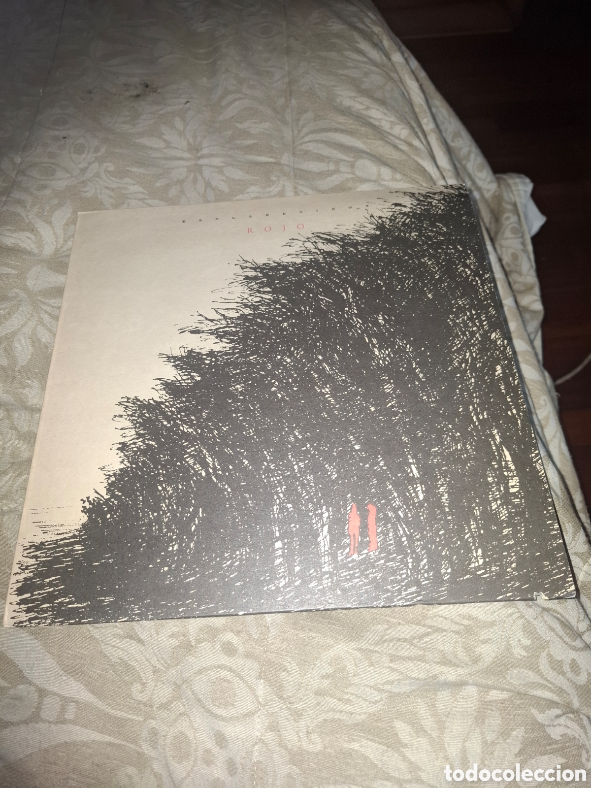 Discos de vinilo: Esclarecidos Rojo vinilo