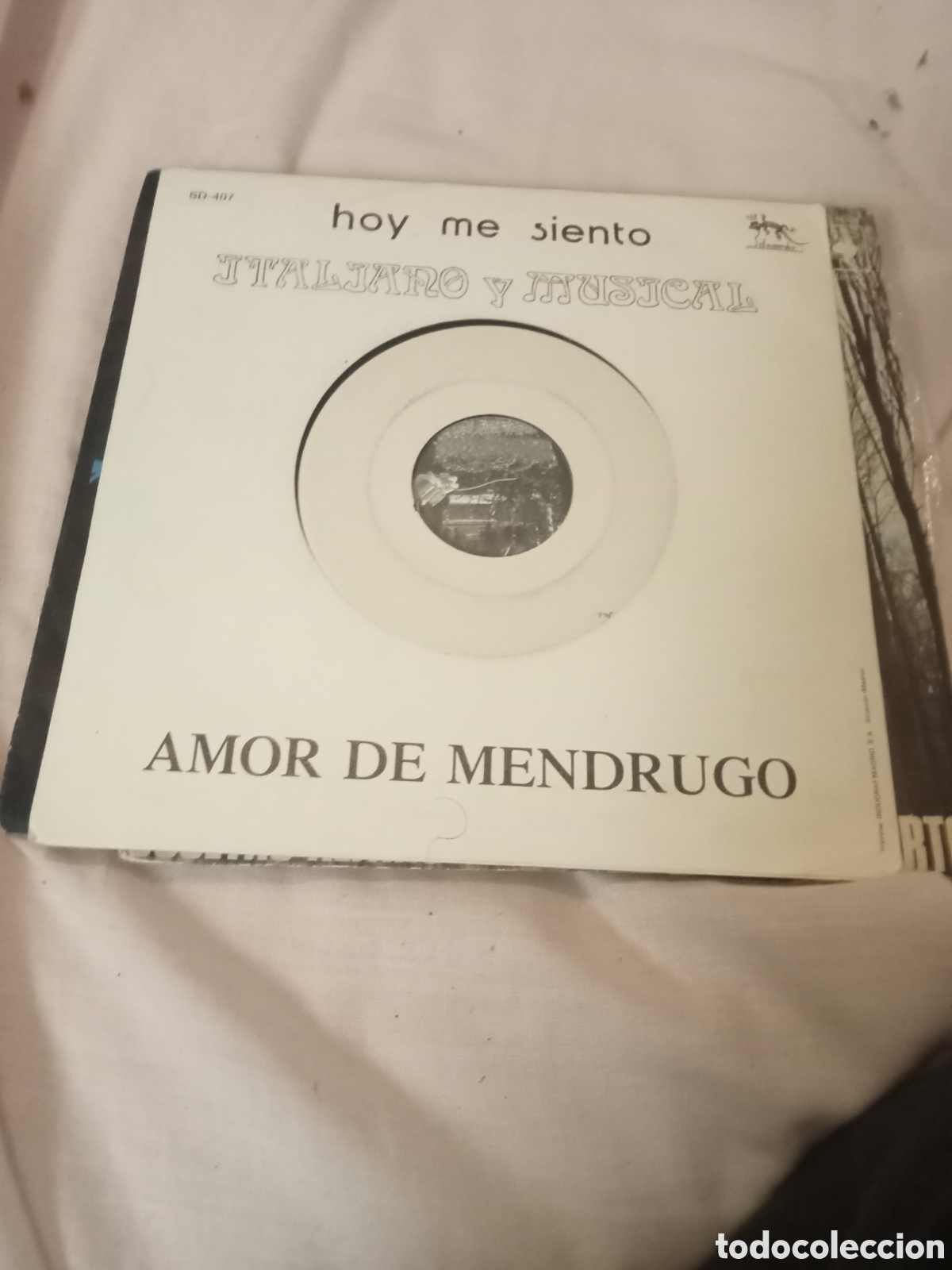 Discos de vinilo: Amor de mendrugo hoy me siento...1989