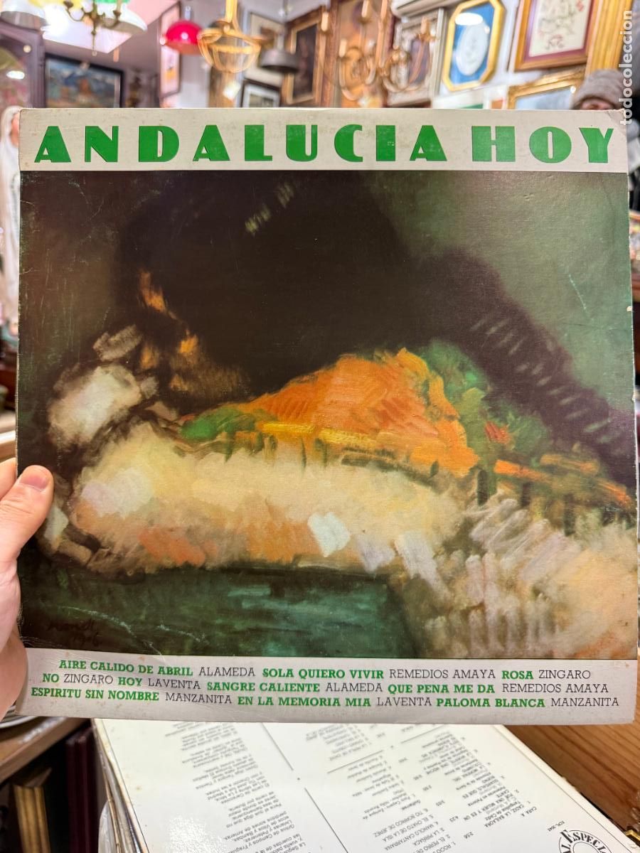 Discos de vinilo: LP ANDALUCIA HOY ---