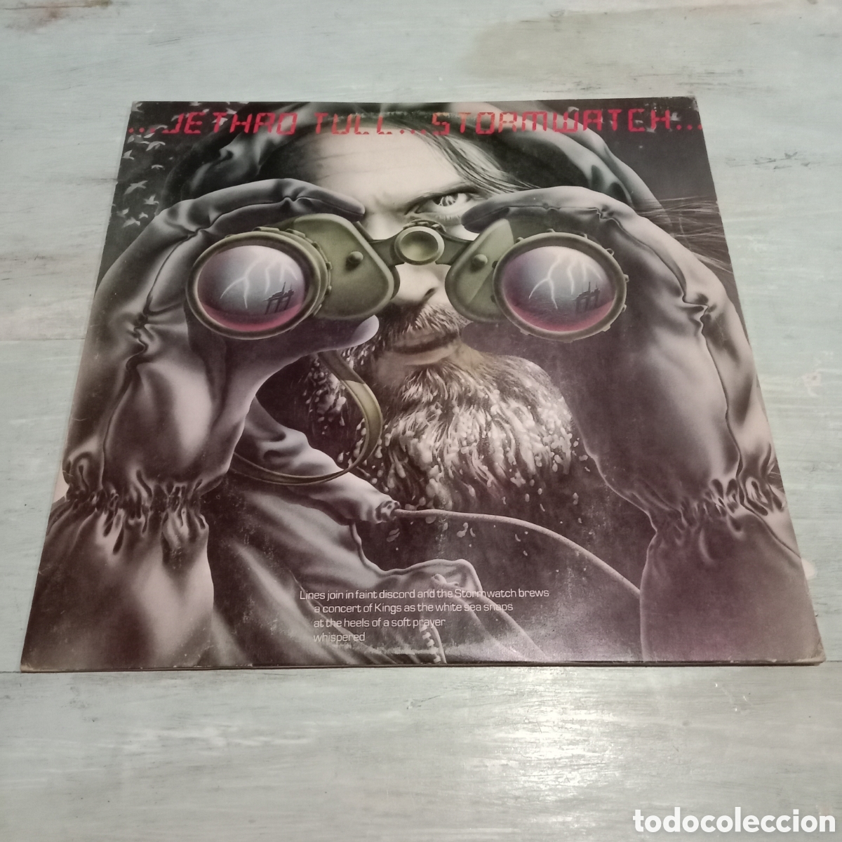 Discos de vinilo: JETHRO TULL - STORM WATCH - LP