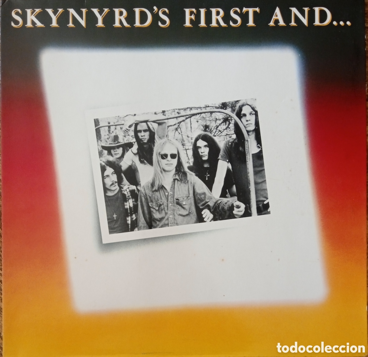 Discos de vinilo: Disco de vinilo Lynyrd Skynyrd