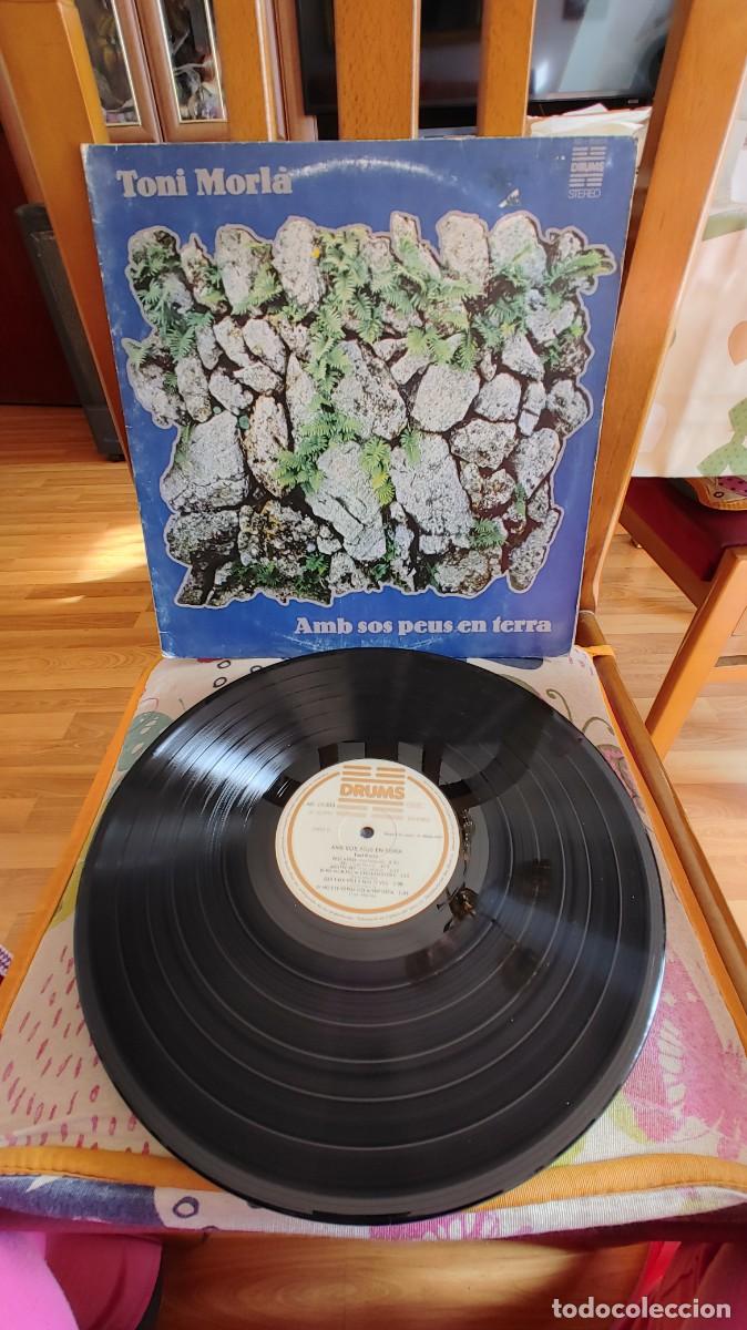 Discos de vinilo: TONI MORLA-LP AMB SOS PEUS EN TERRA