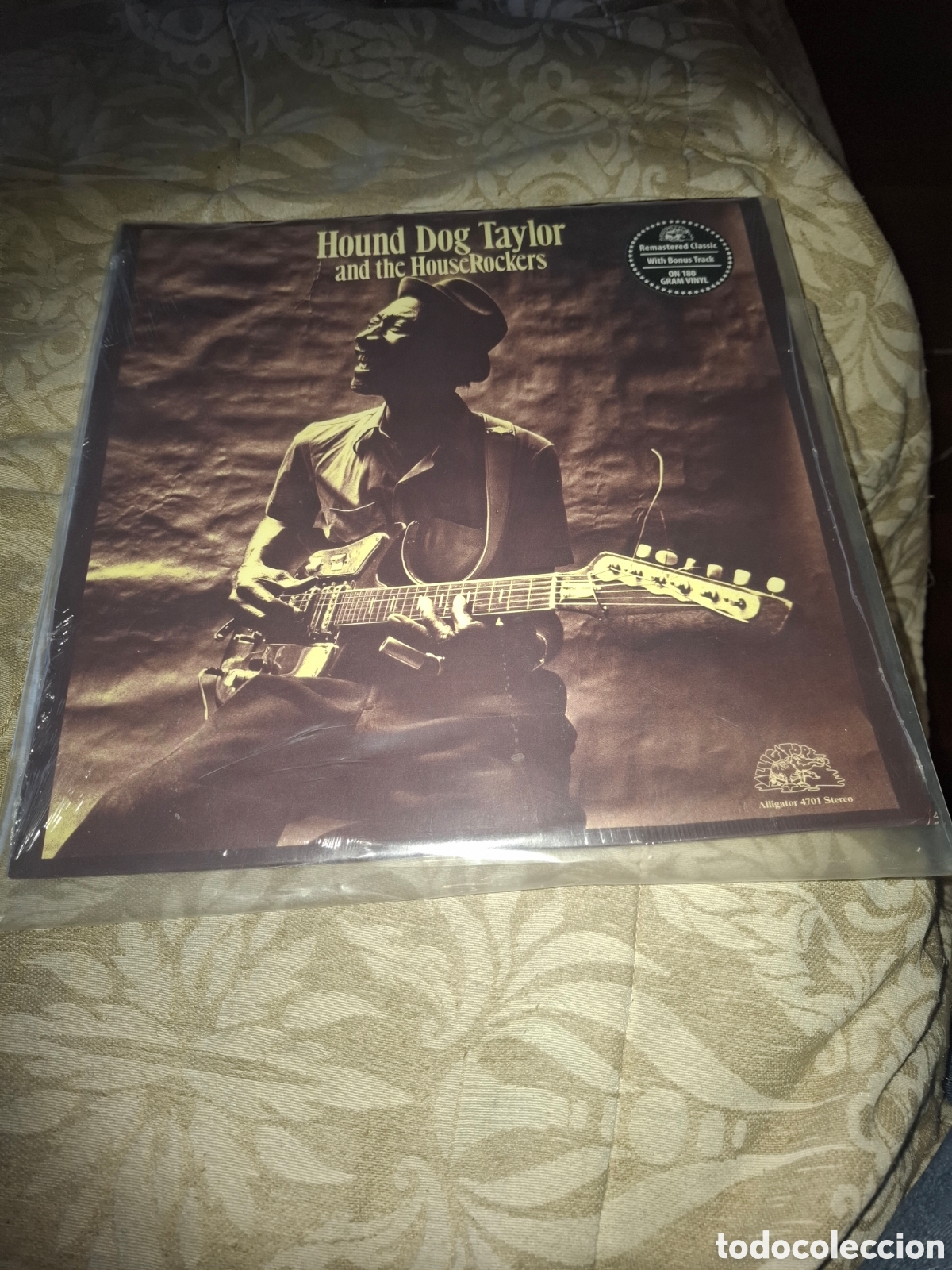 Discos de vinilo: Houng Dog Taylor And The Houserockers
