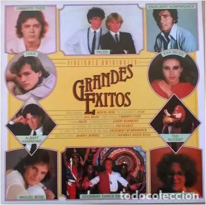 Discos de vinilo: - LP Various, Grandes Exitos