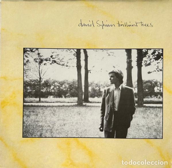 Dischi in vinile: David Sylvian, Brilliant Trees - LP