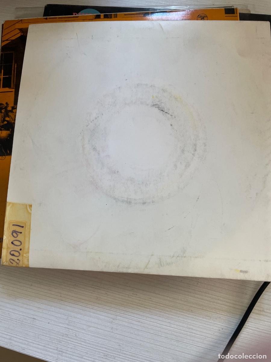Discos de vinilo: Hard rain diamons monkey house single - Foto 2