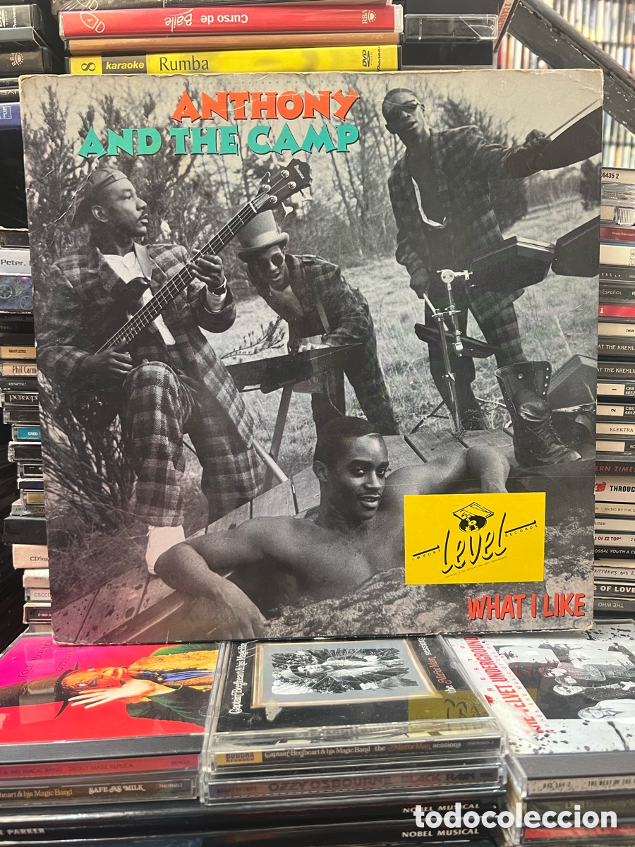Discos de vinilo: Anthony and The camp What I like