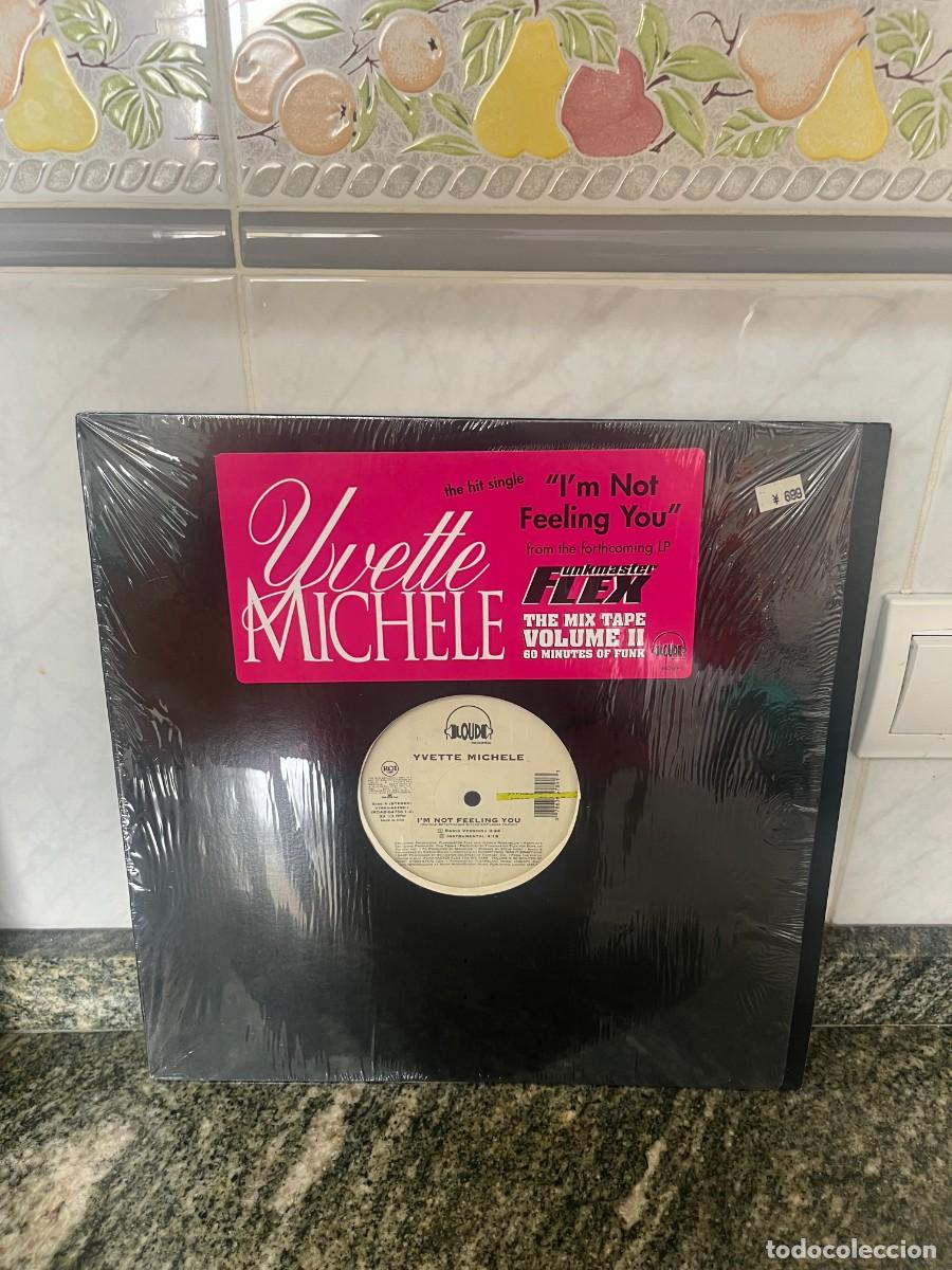 Discos de vinilo: Yvette Michele I'm Not Feeling You
