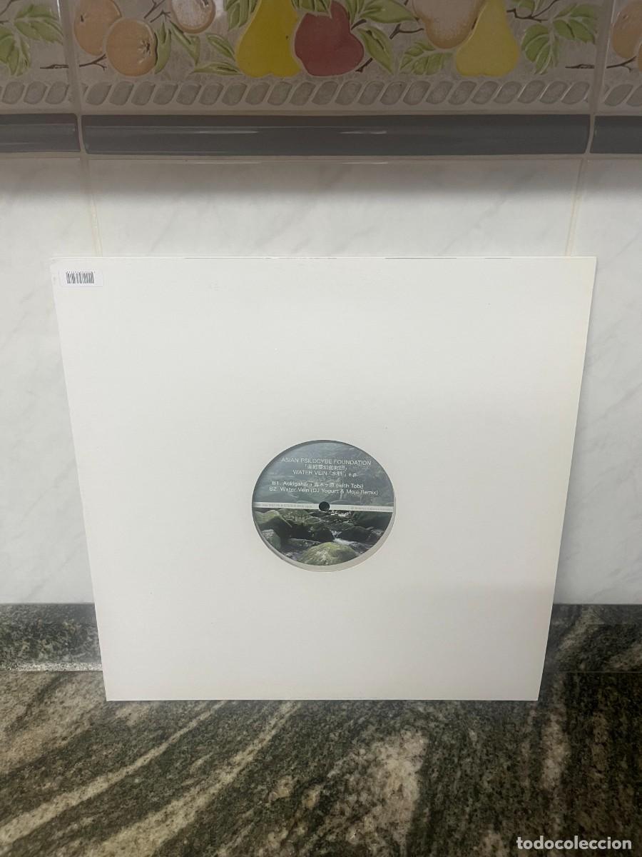 Discos de vinilo: Asian Psilocybe Foundation Water Vein EP