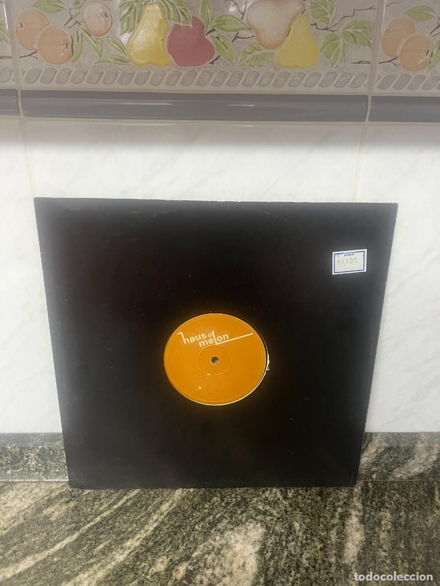 Discos de vinilo: Lizard Lounge Stratus