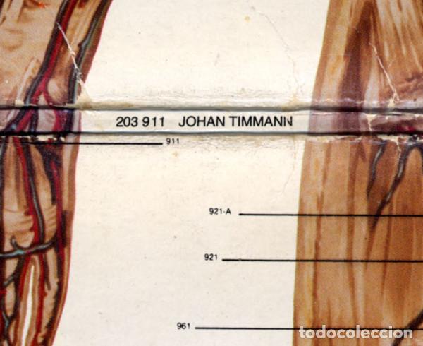 Discos de vinilo: Johan Timman, Trip Into The Body - LP - Foto 9