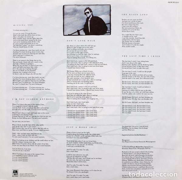 Discos de vinilo: Chris de Burgh, Flying Colours - LP - Foto 6