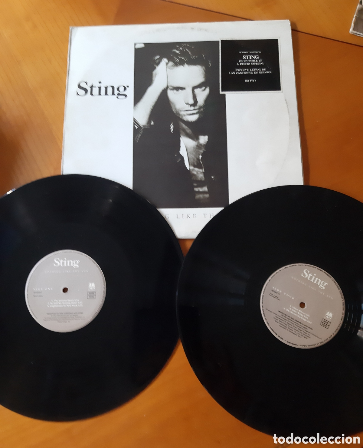 Vinyl-Schallplatten: Dos discos Sting. Originales y en buen estado