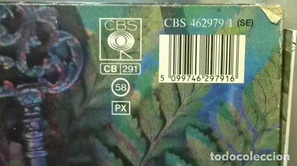 Discos de vinilo: Bangles, Everything - LP - Foto 7