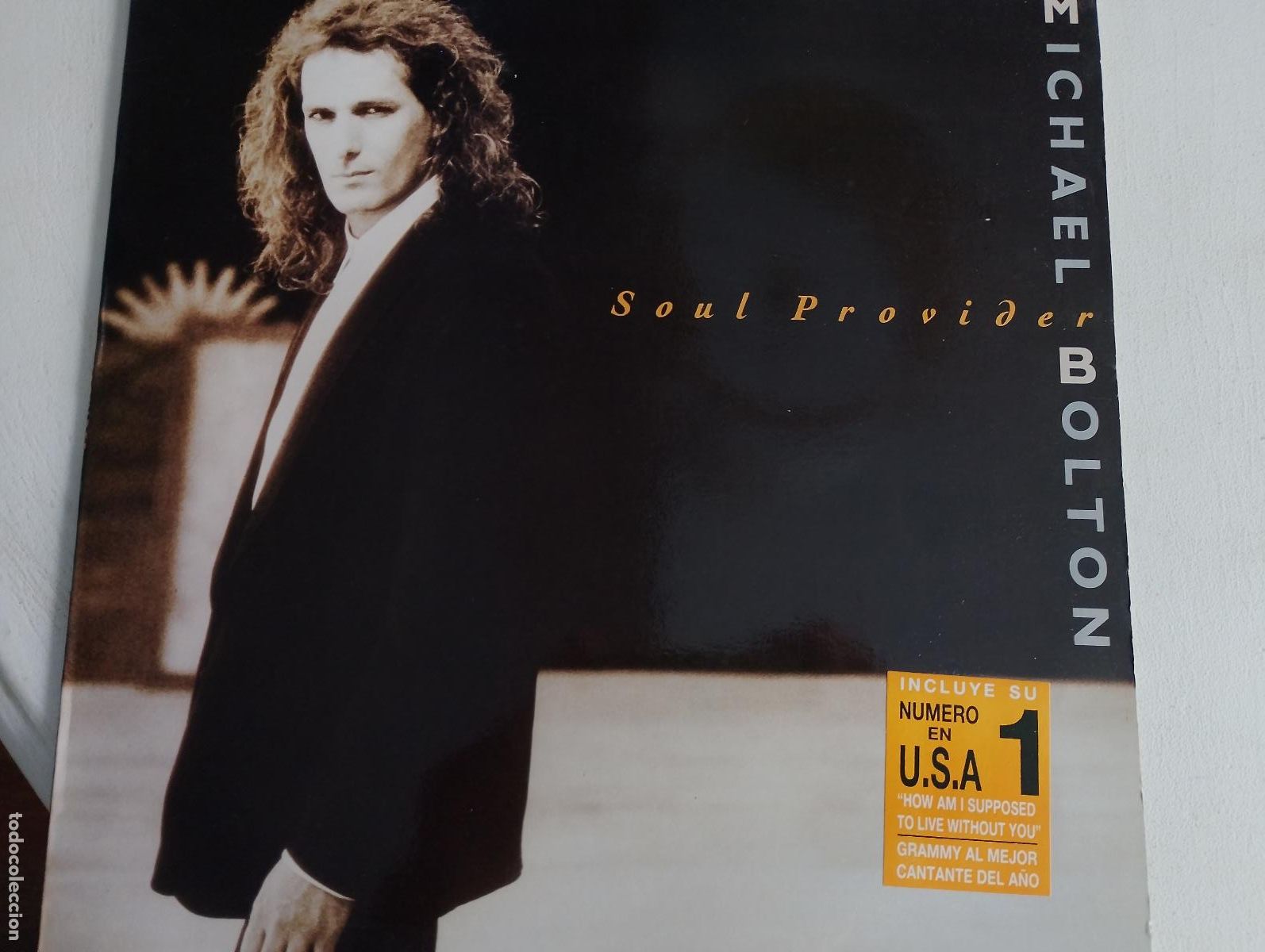 Discos de vinilo: Michael Bolton &ndash; Soul Provider, contiene el encarte, ed espa&ntilde;ola, 1989 Rock Estilo: Blues