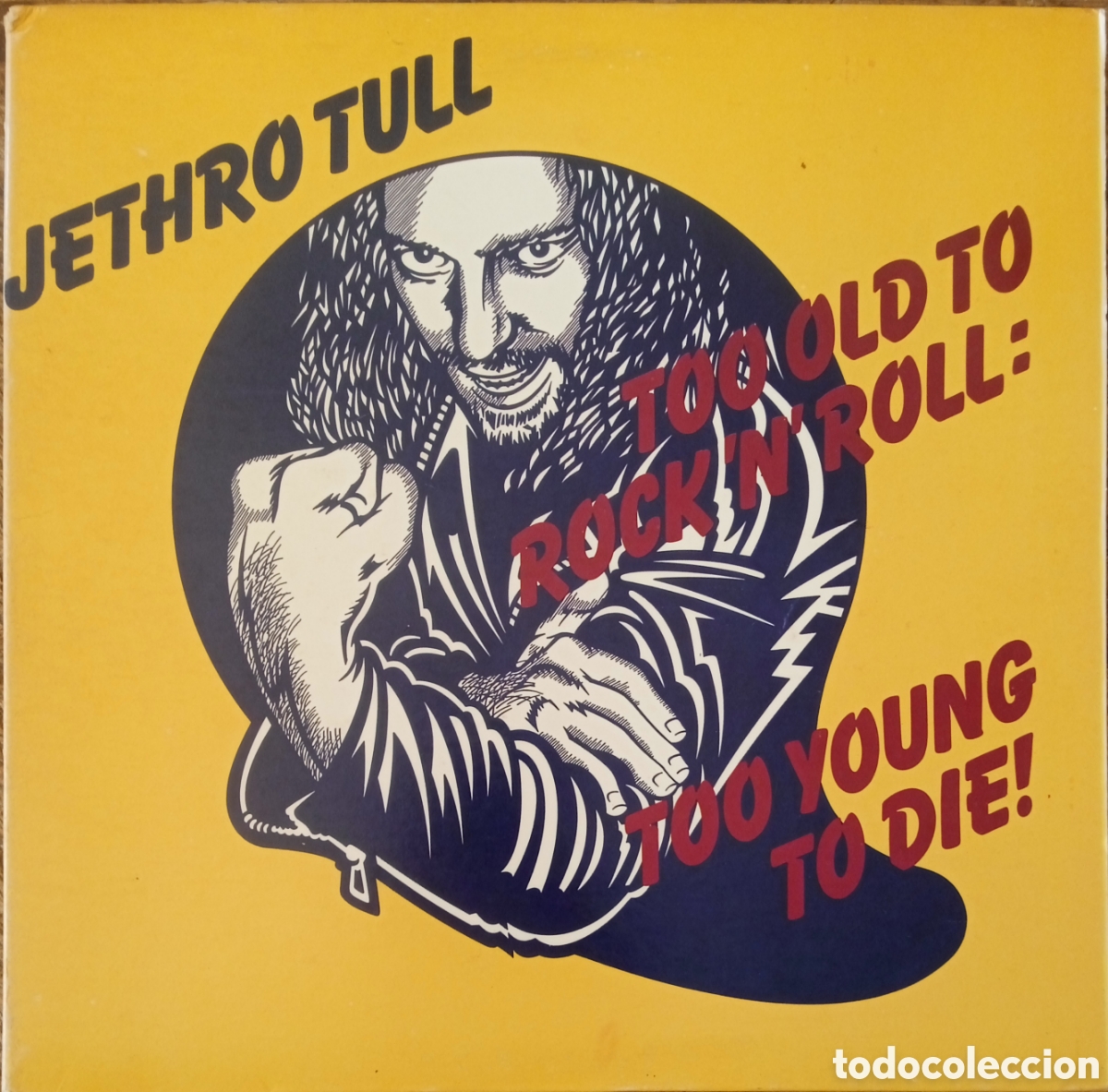 Discos de vinilo: Disco de vinilo Jethro Tull