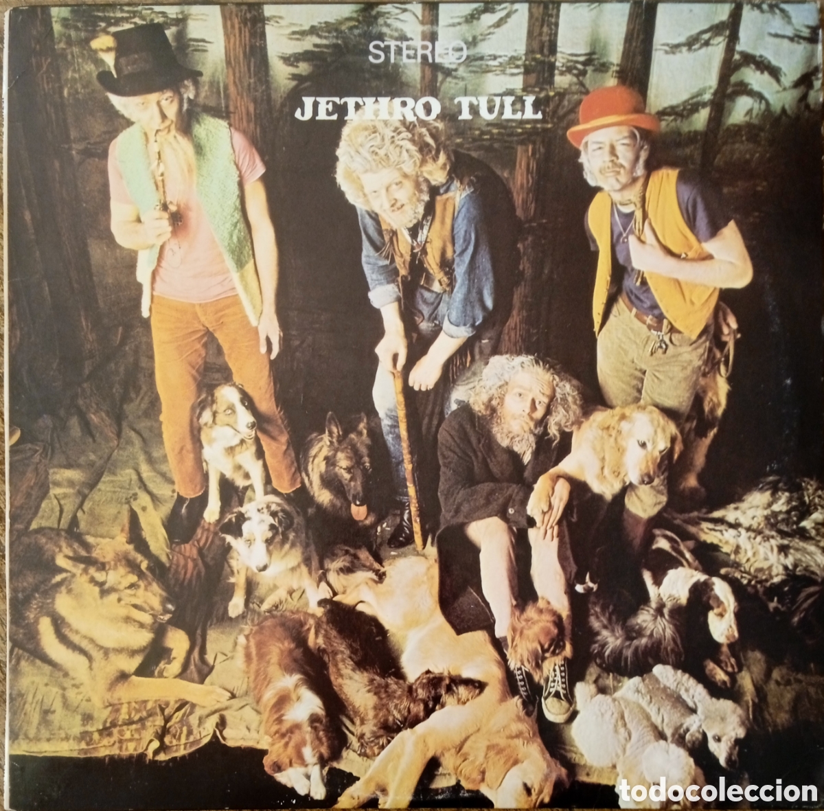 Discos de vinilo: Disco de vinilo Jethro Tull
