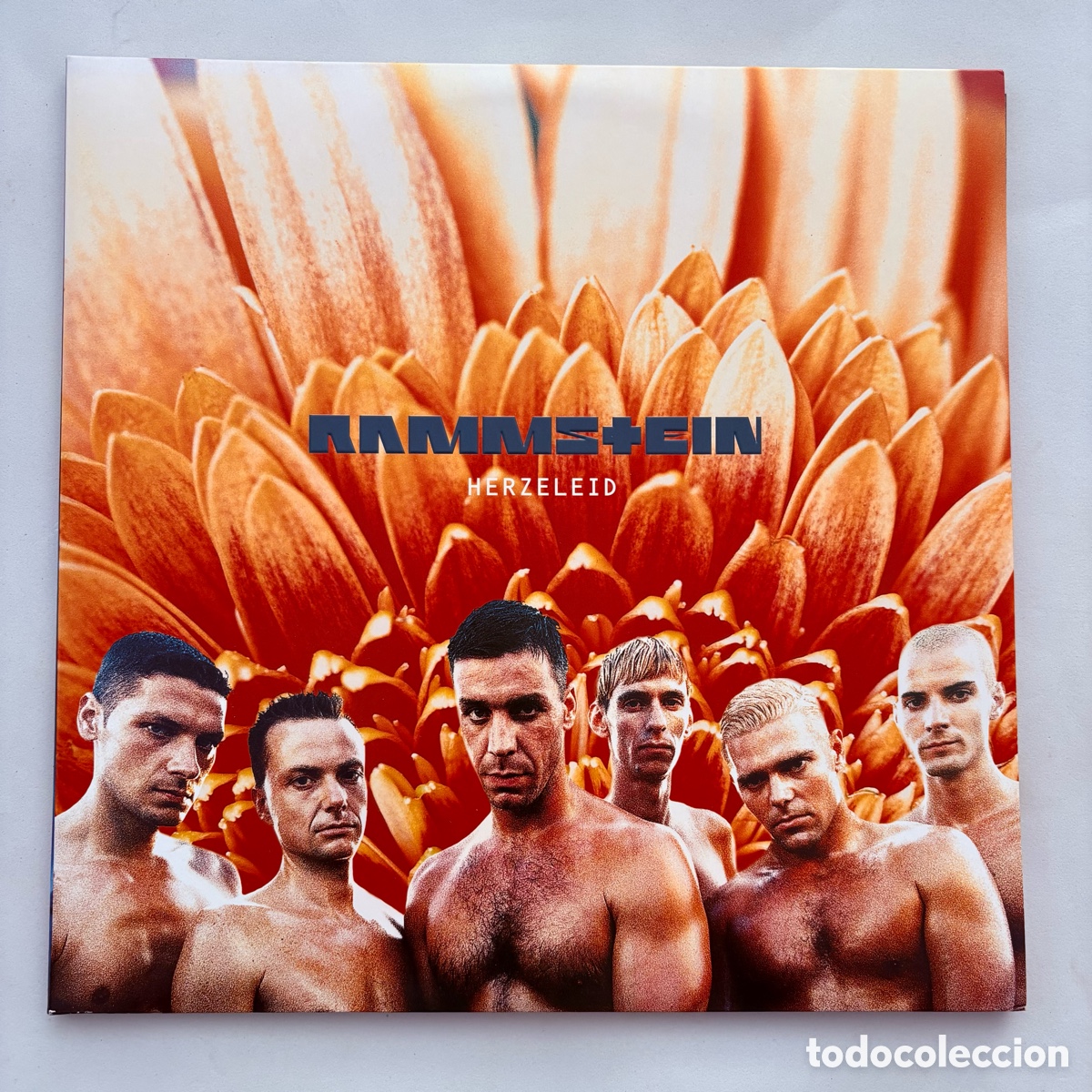 Discos de vinilo: lp rammstein herzeleid edicion europea del 2017