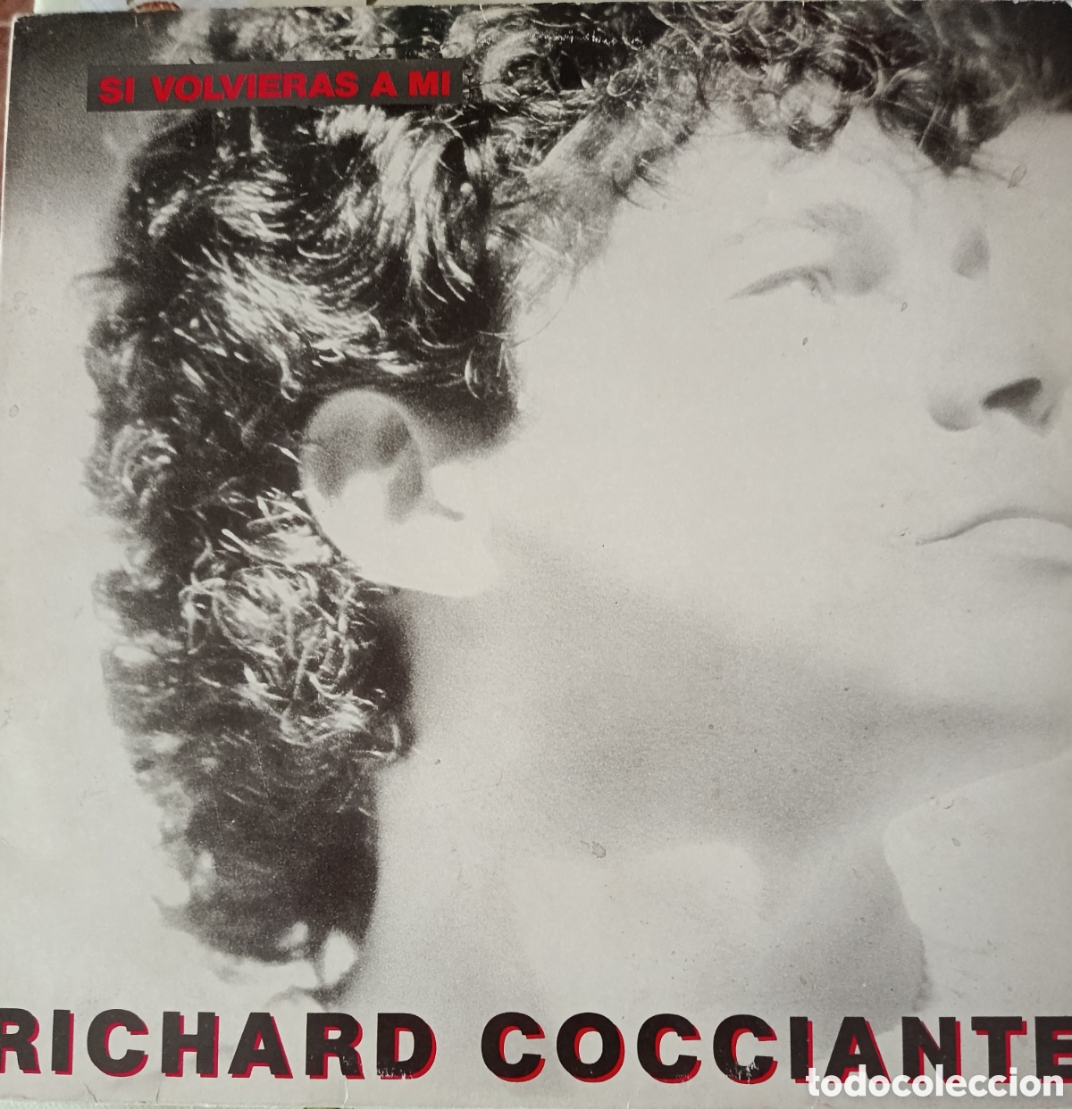 Discos de vinilo: Richard Cocciante Lp sello Epic editado en Espa&ntilde;a a&ntilde;o 1986.