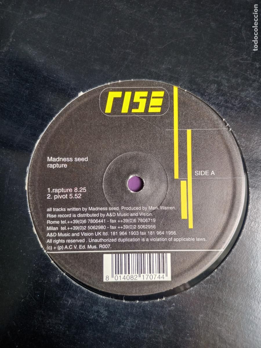 Discos de vinilo: Madness Seed &lrm;&ndash; Rapture - MAXI RISE 1995 - ITALIA ELECTRONICA ACID TECHNO