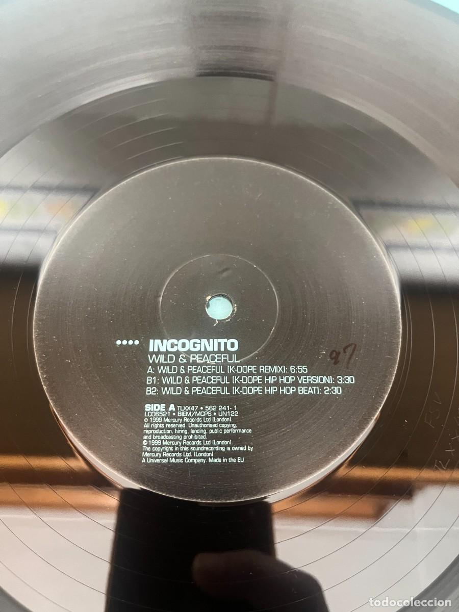Discos de vinilo: Incognito Wild & Peaceful (K-Dope Mixes) - Foto 4