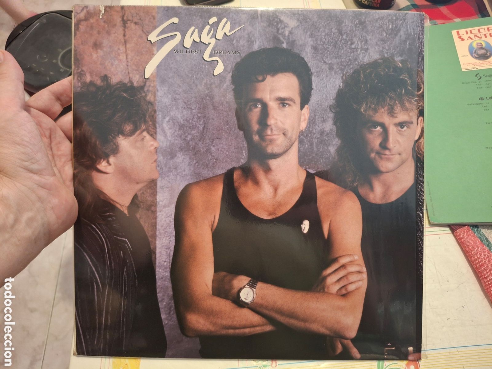 Discos de vinilo: L.P. - Disco de vinilo - Saga - Wildest Dreams - Rock Estilo: Pop Rock, Arena Rock, Prog Rock