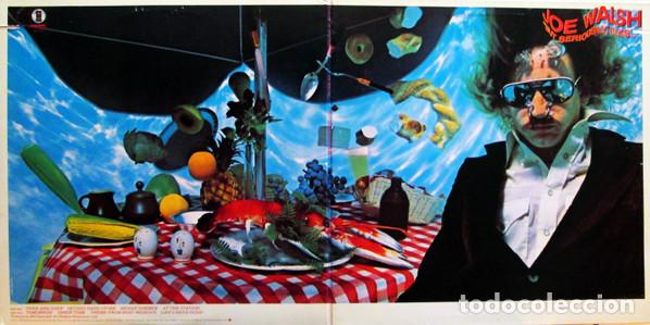 Discos de vinilo: Joe Walsh, &rdquo;But Seriously, Folks...&rdquo; - LP - Foto 10