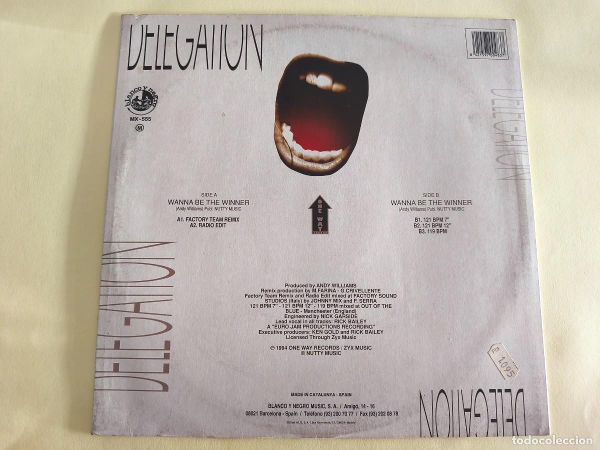 Discos de vinilo: Delegation &lrm;&ndash; Wanna Be The Winner - Foto 2