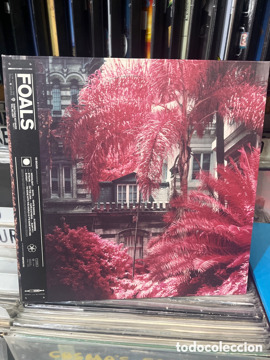 Discos de vinilo: foals everything not saved will be lost part 1