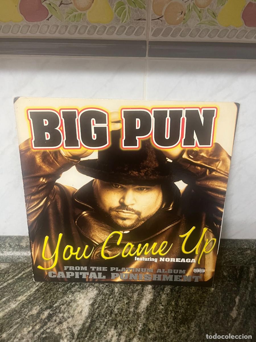 Discos de vinilo: Big Punisher You Came Up
