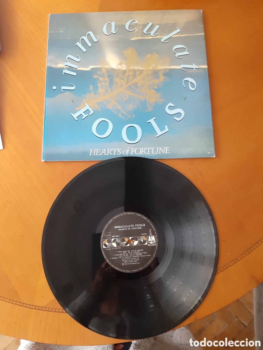 Discos de vinilo: Disco Inmaculate Fools. Original y en buen estado