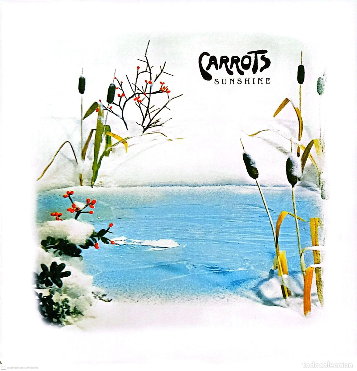 Discos de vinil: Carrots &ndash; Sunshine LP
