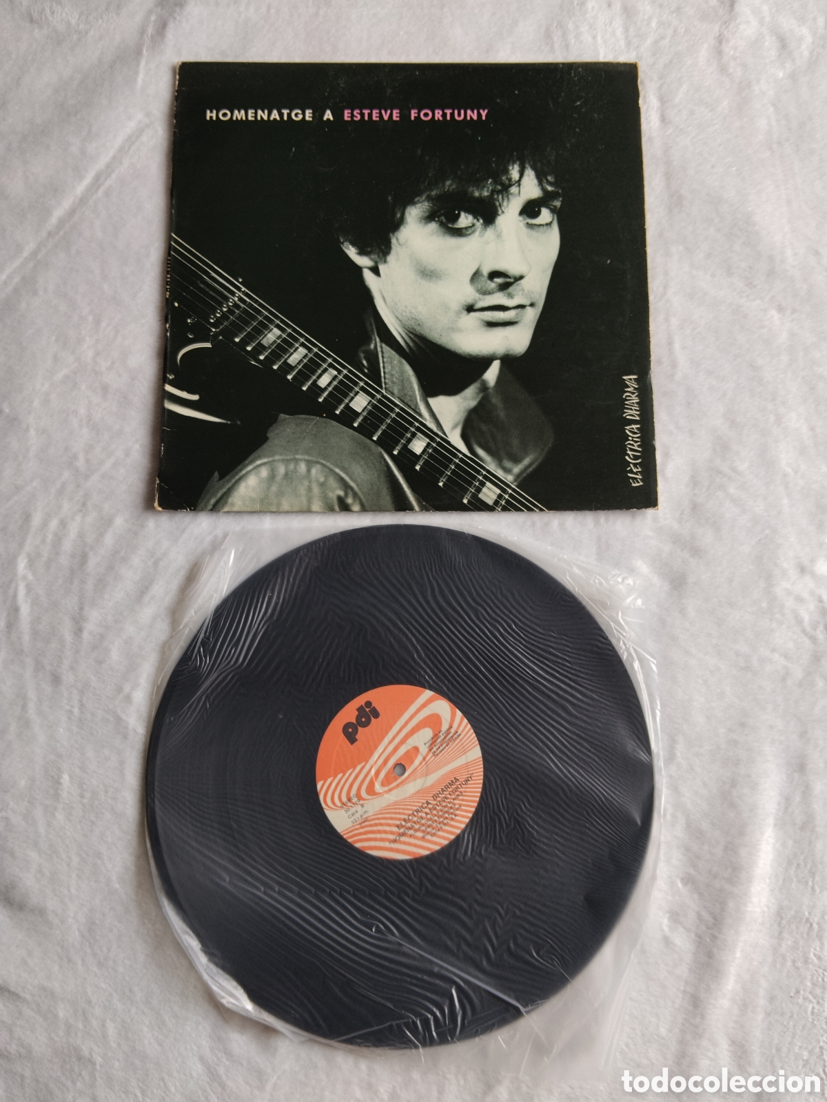 Dischi in vinile: Homenatge a Esteve Fortuny &ndash; El&egrave;ctrica Dharma (vinilo LP 1987)