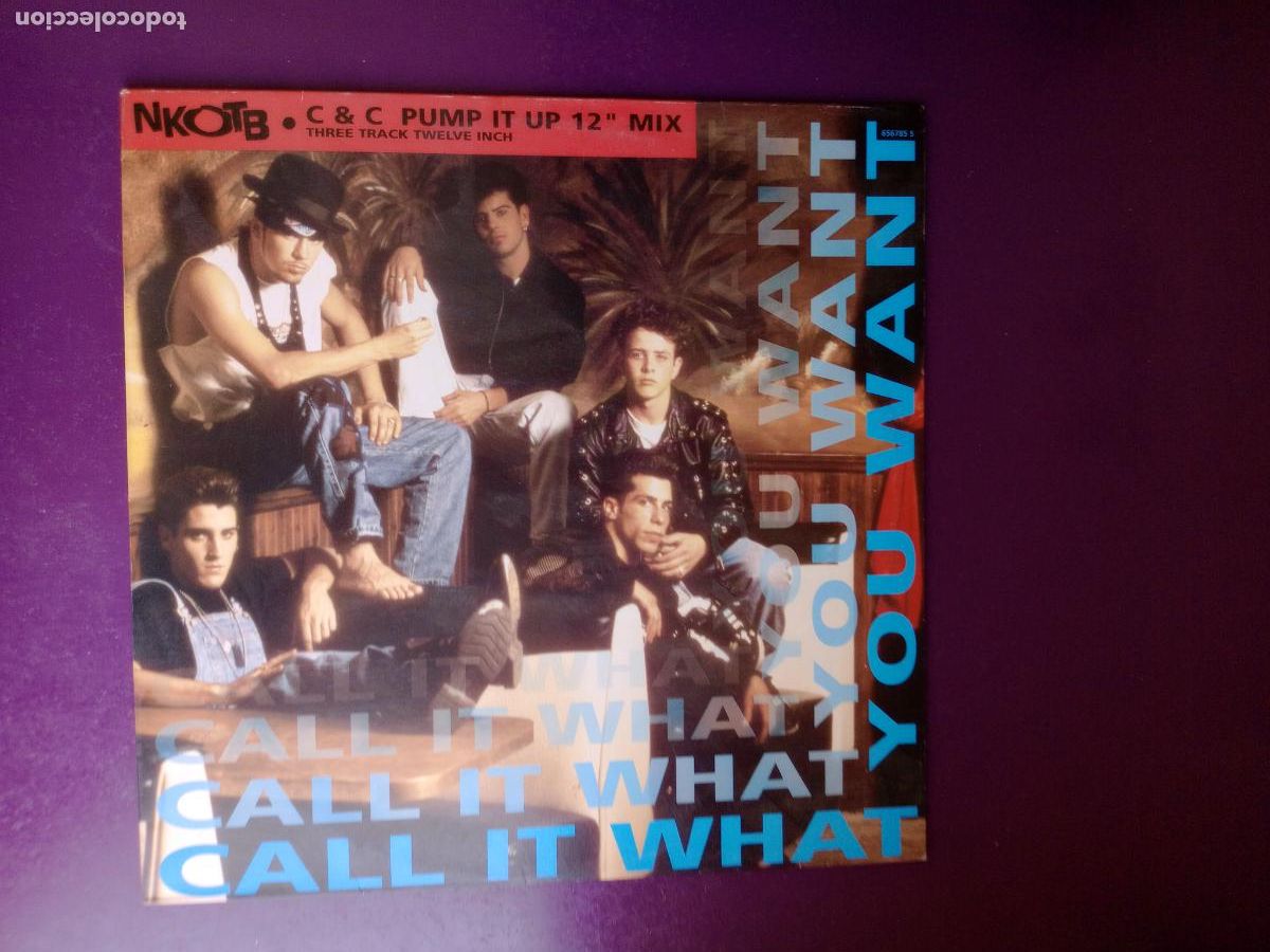 Discos de vinilo: NKOTB - NEW KIDS BLOCK &ndash; Call It What You Want - MAXI COLUMBIA 1991 - ELECTRONICA POP, HIP DISCO