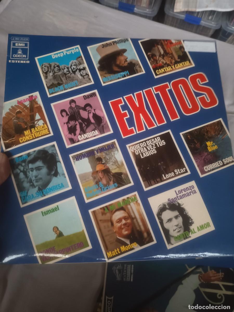 Discos de vinilo: LP , EXITOS,( VARIOS ARTISTAS)
