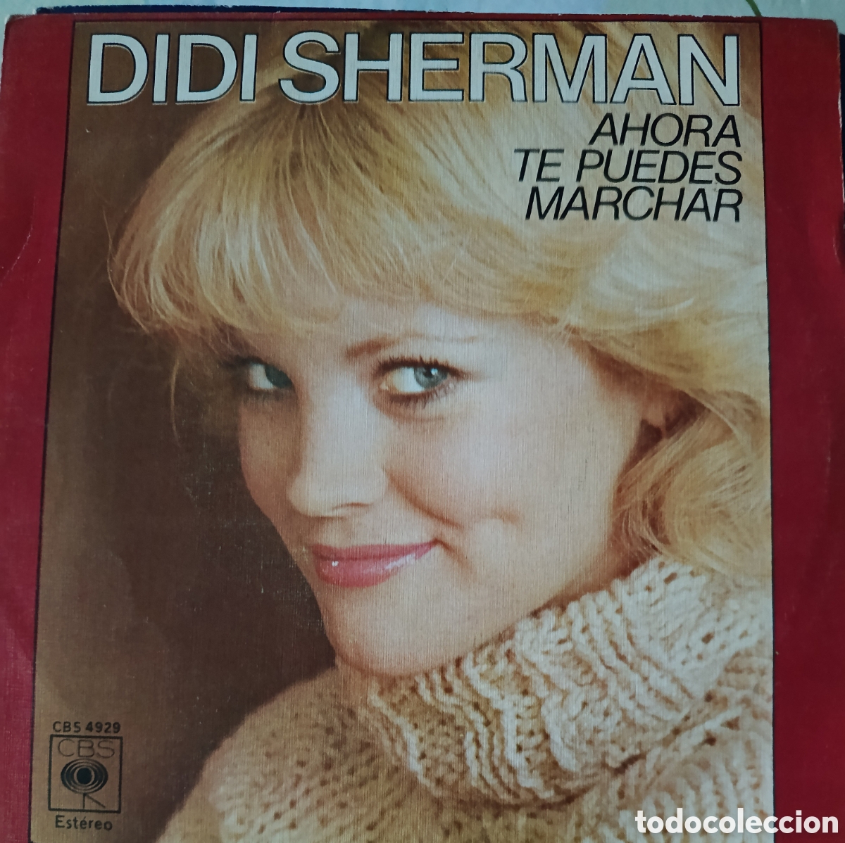 Discos de vinilo: Didi Sherman single sello CBS editado en Espa&ntilde;a a&ntilde;o 1976.