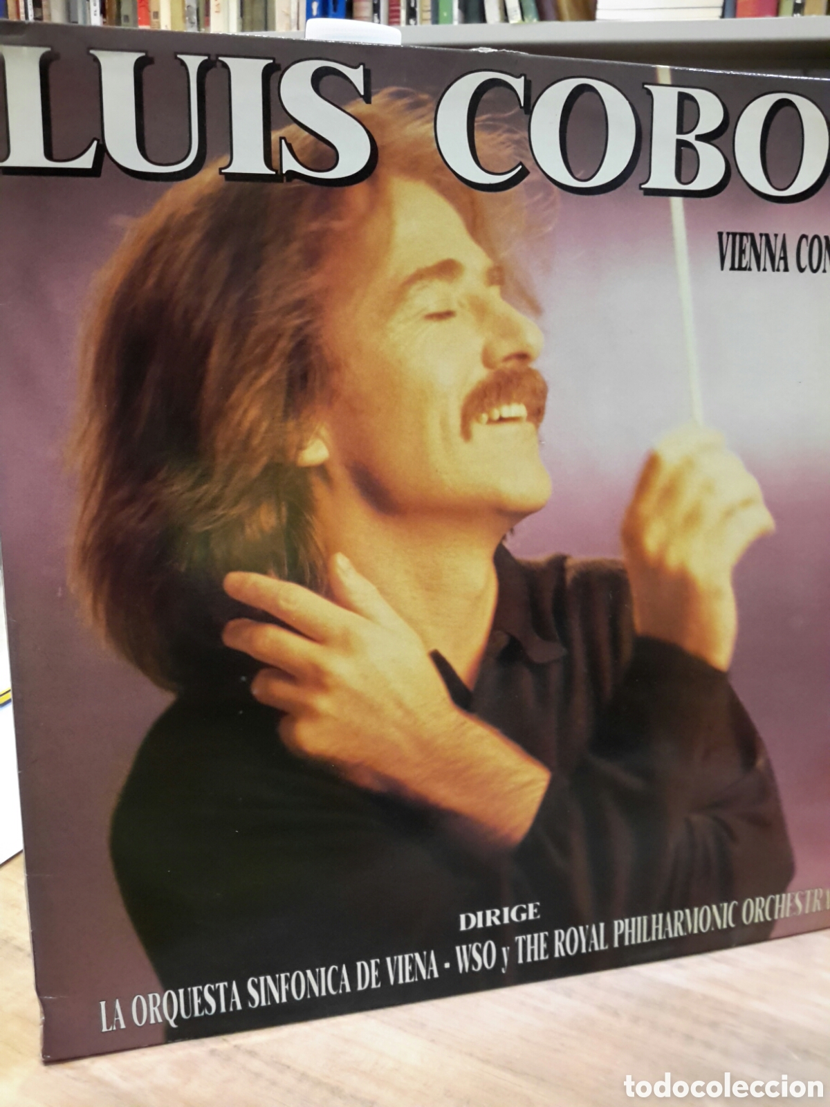 Vinyl records: LP Luis Cobos. Dirige la orquesta sinf&oacute;nica de Viena. Vienna Concerto