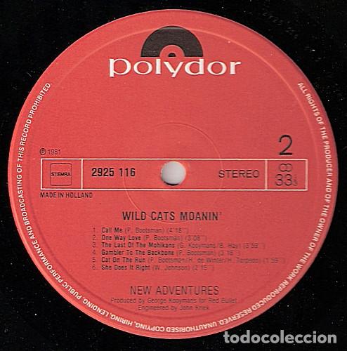 Discos de vinilo: New Adventures, Wild Cats Moanin - LP - Foto 4