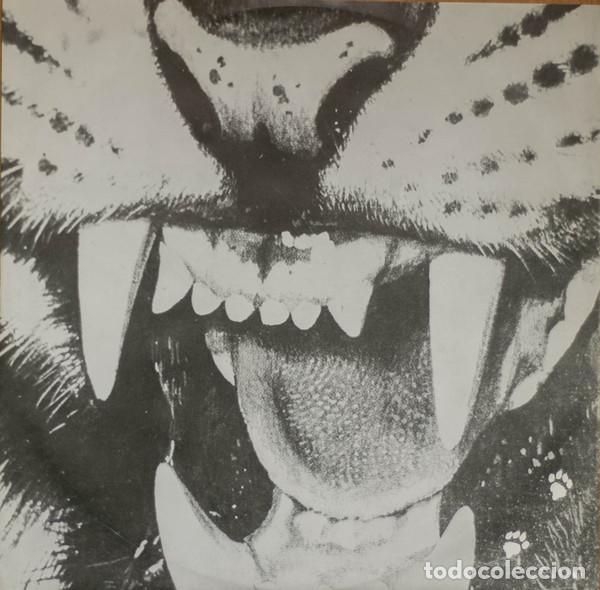 Discos de vinilo: New Adventures, Wild Cats Moanin - LP - Foto 5