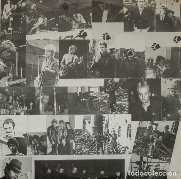 Discos de vinilo: New Adventures, Wild Cats Moanin - LP - Foto 6