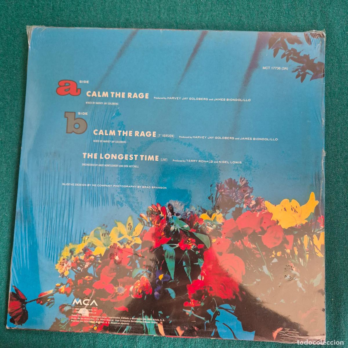 Discos de vinilo: Terry Ronald - Calm The Rage - Foto 2
