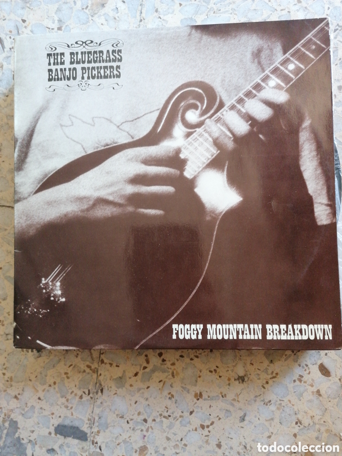 Dischi in vinile: LP THE BLUEGRASS BANJO PICKERS FOGGY MOUNTAIN BREAKDOWM 1980 ESPA&Ntilde;A