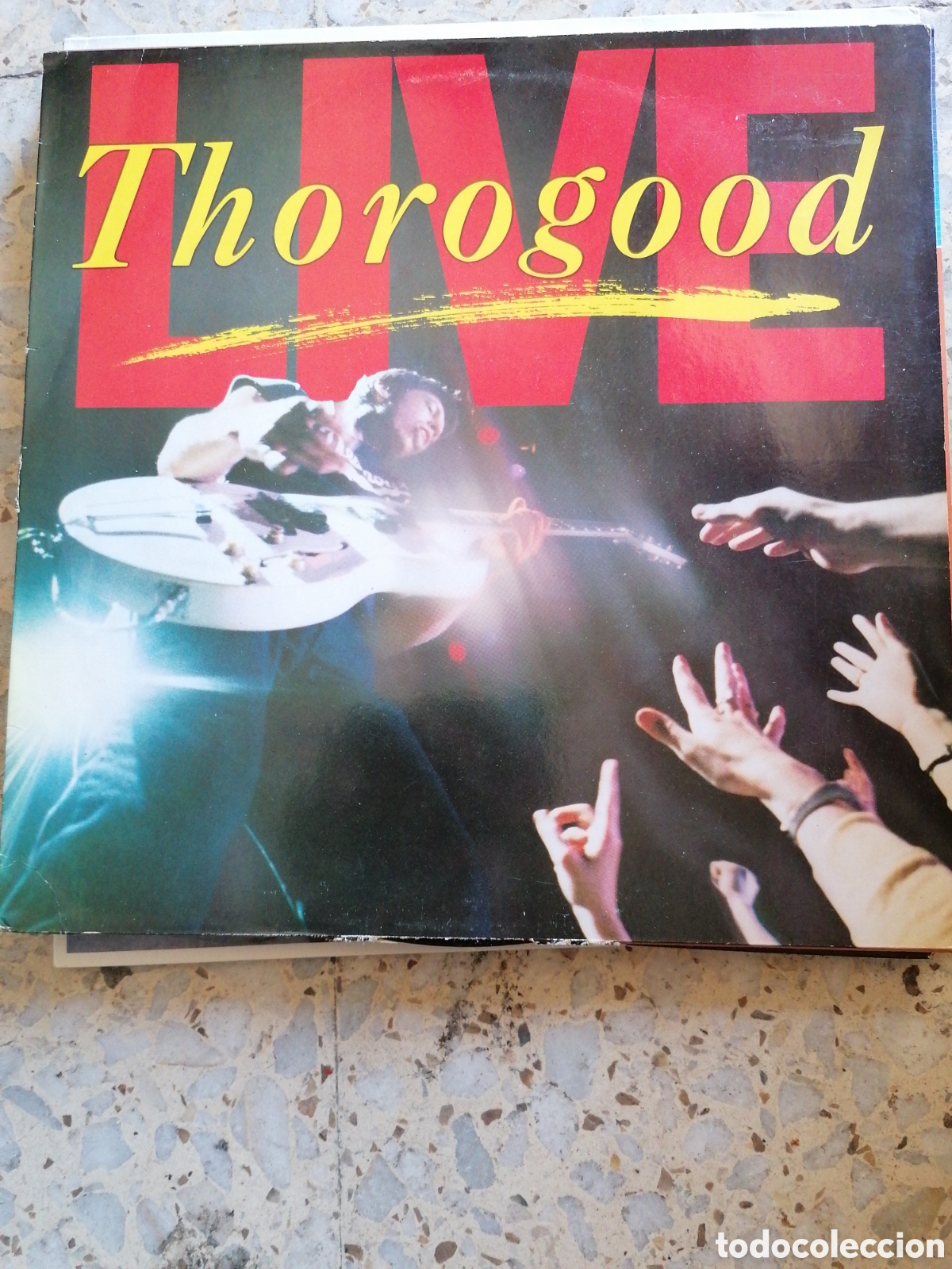 Dischi in vinile: LP GEORGE THOROGOOD & THE DESTROYERS LIVE 1986 INSERT