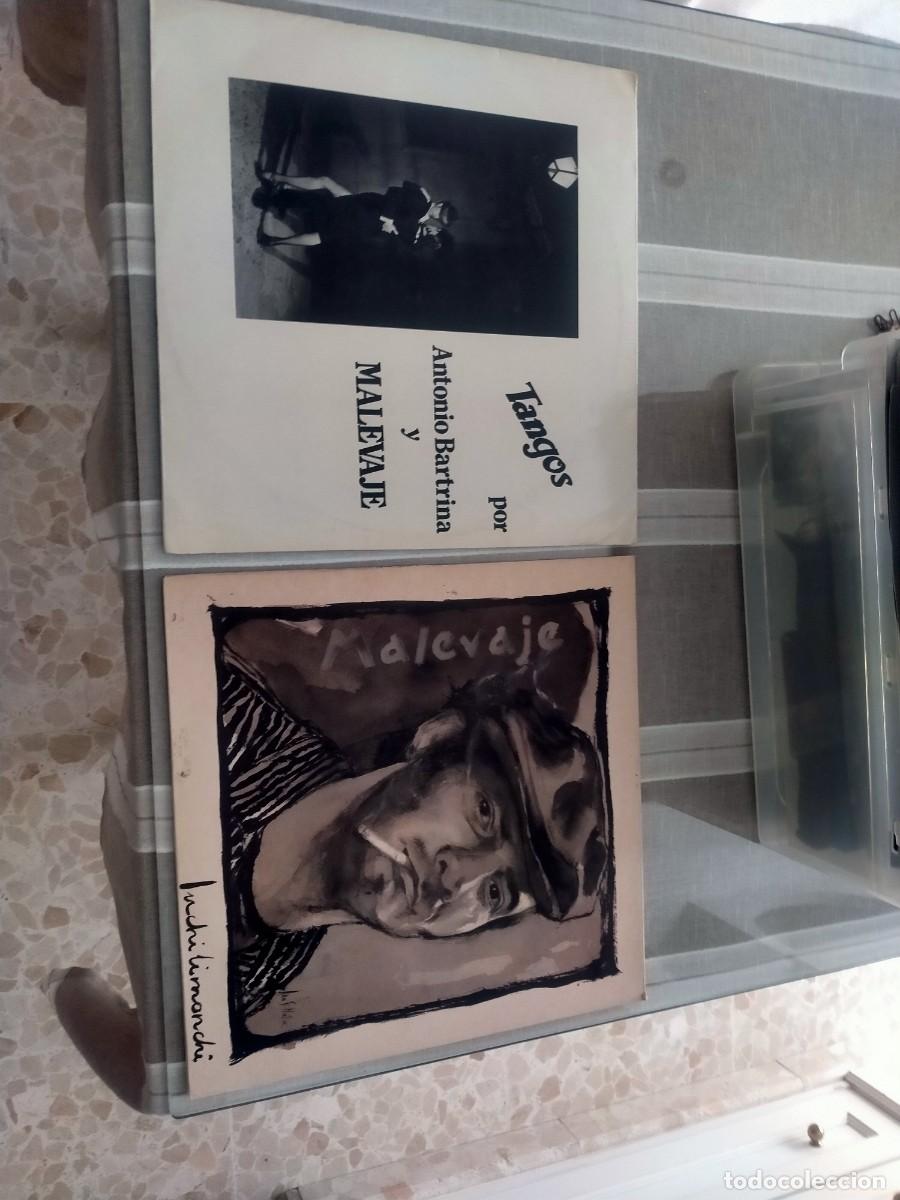 Discos de vinilo: vinilos lp de malevaje 2 titulos