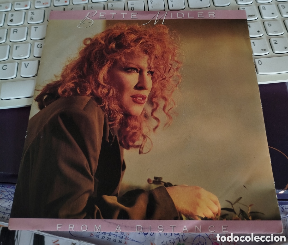 Discos de vinilo: Bette Midler - from a distance