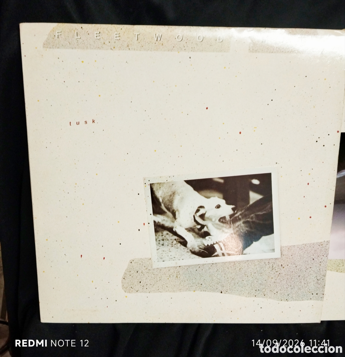 Vinyl-Schallplatten: FLEETWOOD MAC , TRUSK