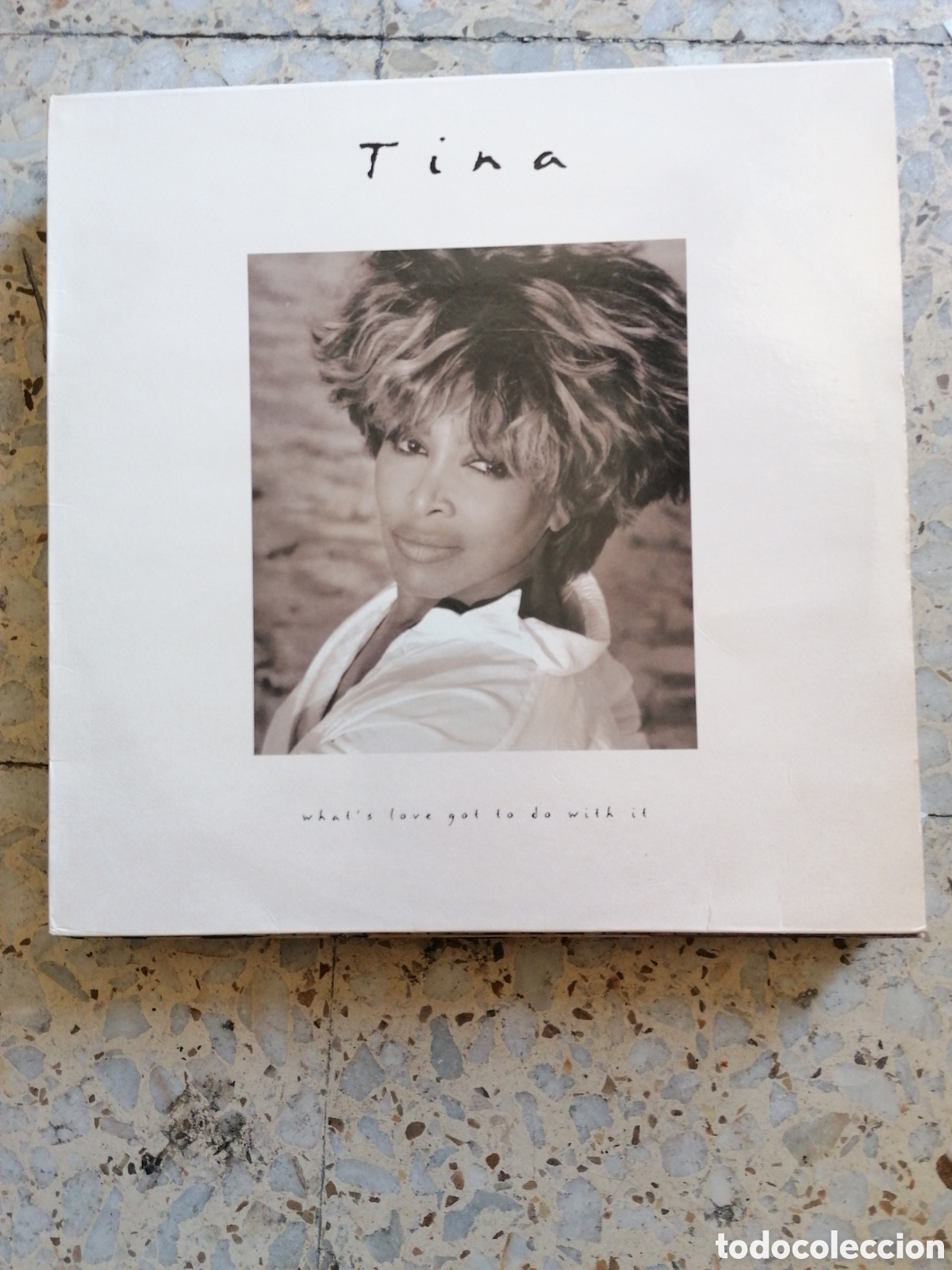 Discos de vinilo: LP TINA TURNER WHAT&acute;S LOVE GOT TO DO WITH IT 1993 ESPA&Ntilde;A INSERT