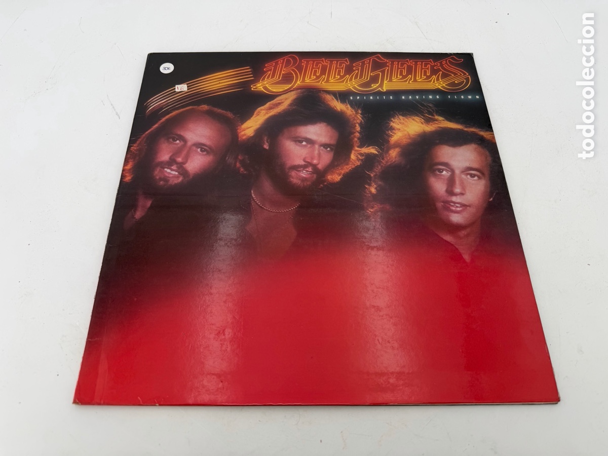 Vinyl records: Disco Vinilo BeeGees