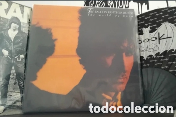 Discos de vinilo: Tav Falco's Panther Burns - The World We Knew