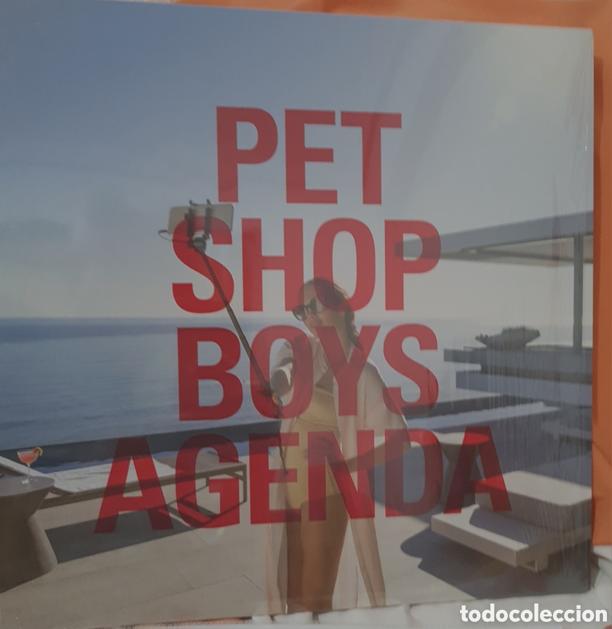 Discos de vinilo: PET SHOP BOYS * AGENDA